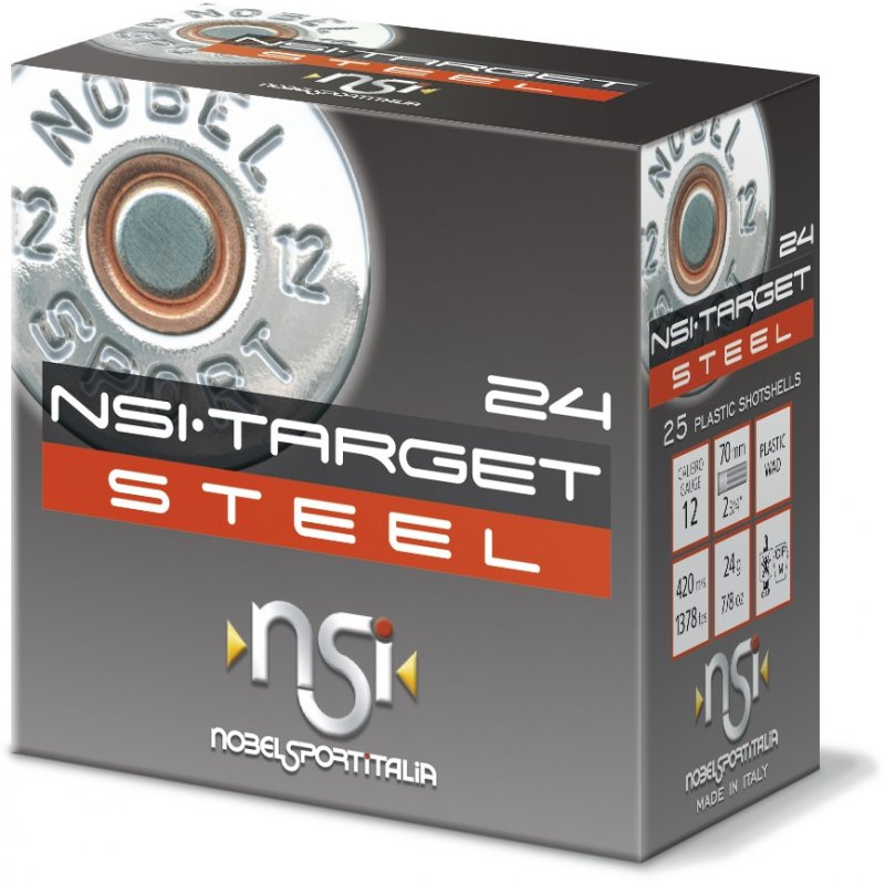 NSI NSI Target Steel