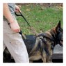 United States Tactical UST K9 Leash - Cobra buckle & frog clamp