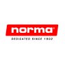 Norma .404 Rimless Nitro Express solid